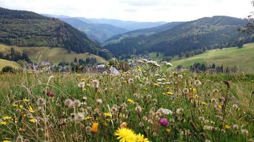 Apartamento Ferienwohnung Fernblick