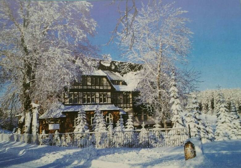 Landhotel "wettin"