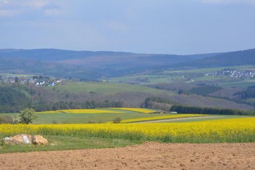 Bed & Breakfast Ferienhaus Schmelzm�hle