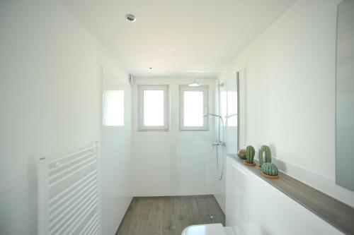 Apartamento Das Rebenhaus