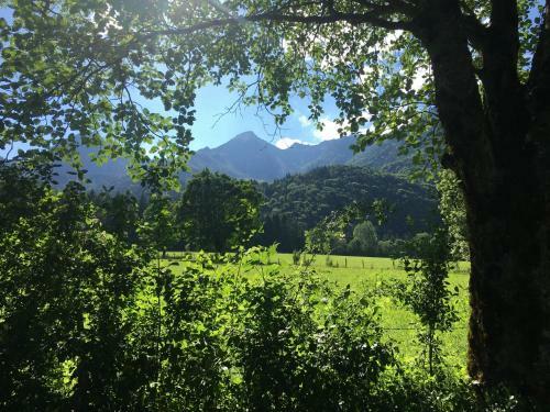 Apartamento Premium-chalet Achental