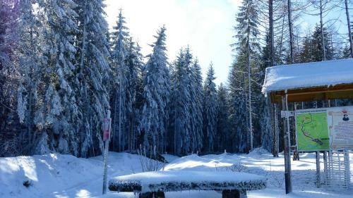 Apartamento Ferienwohnung Rennsteigblick