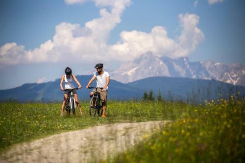 Naturhotel Edelweiss Wagrain