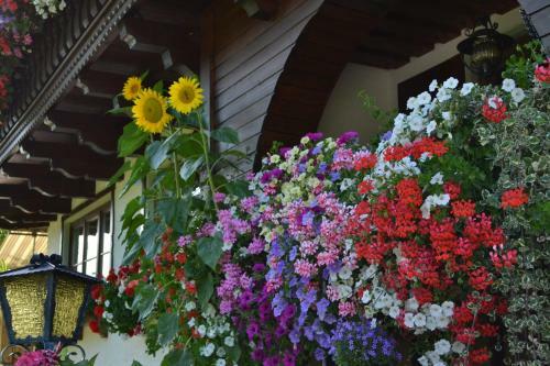 Hostal Haus Thurner