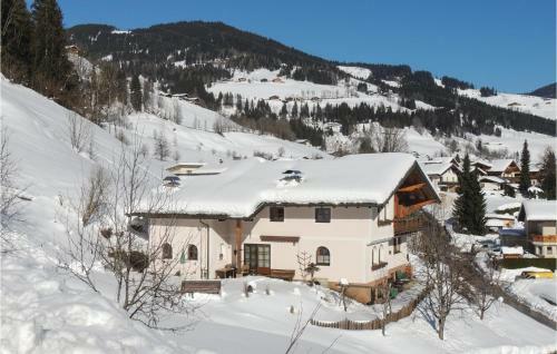 Apartment Hof Wagrain II