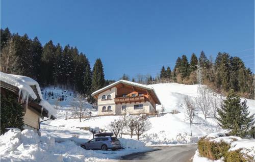 Apartment Hof Wagrain II