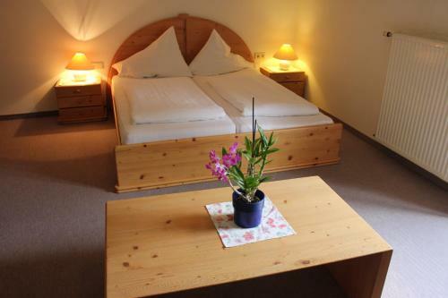 Posada Hotel - Guesthouse Dalnig