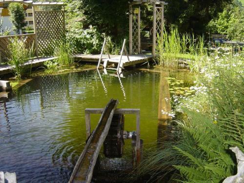 Hostal Pension & Appartement Steinwender