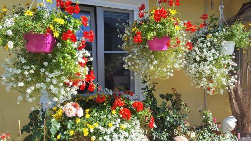 Apartamento Appartements Della Schiava