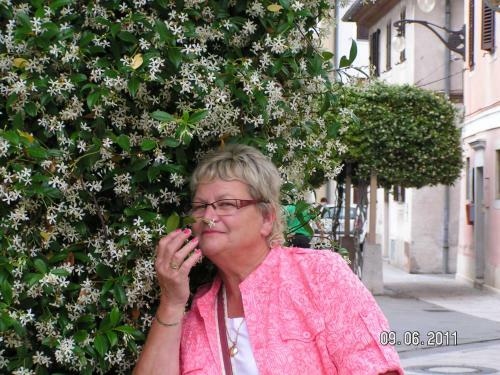 Apartamento Ferienwohnungen Krenn Josefa
