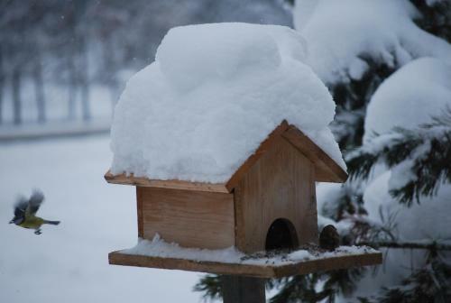 Apartamento Biohof Seidl