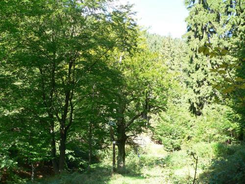 Posada Gasthaus&pension "gr�nes Herz"