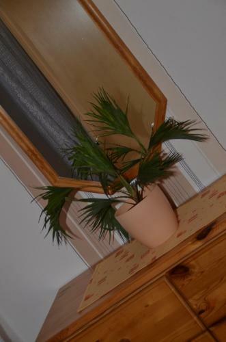 Apartamento Lorettablick