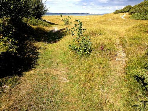 Bed & Breakfast Three-bedroom Holiday Home In Eskebjerg 2