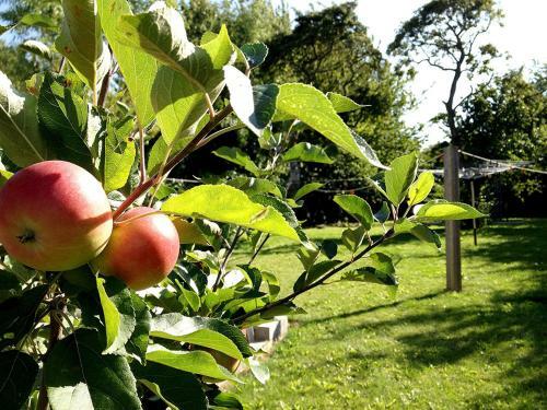 Bed & Breakfast Three-bedroom Holiday Home In Eskebjerg 2