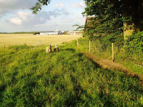 Apartamento Jelling Family Camping & Cottages