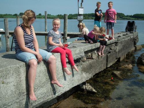 Sandskaer Strandcamping & Cottages
