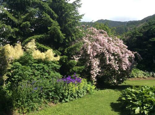 Apartamento Ferienwohnungen Familie Wetzlinger