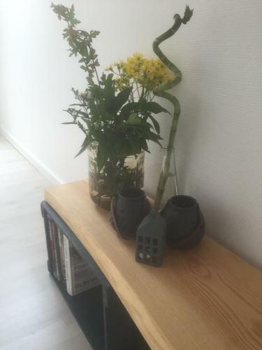 Skovlunds Bed And Breakfast