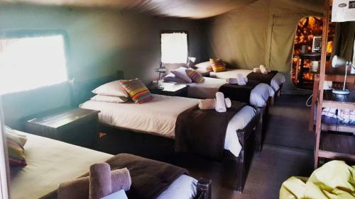 Posada Tri Active Lodge
