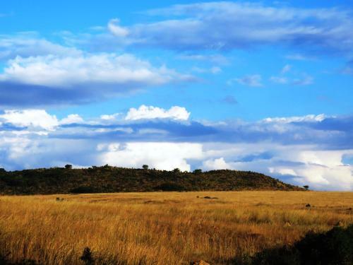 Dawson's Game And Trout Lodge