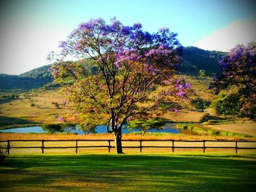Dawson's Game And Trout Lodge