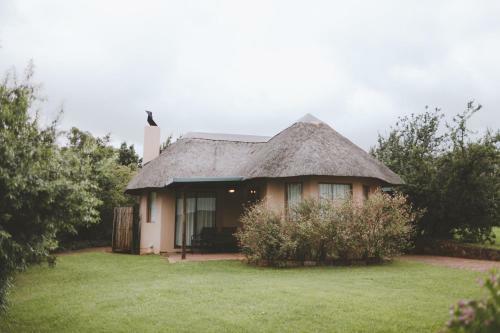 Montusi Mountain Lodge