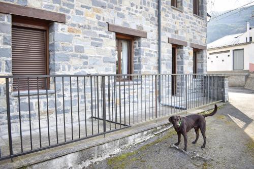 Apartamento Balaitus Home