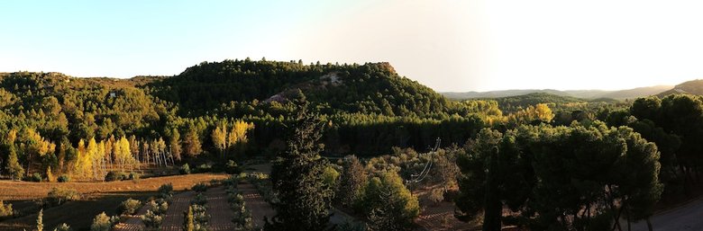 Hostal Monasterio El Olivar
