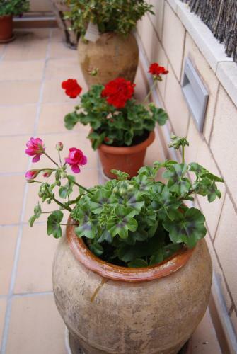 Hostal Pe�ac�rdena
