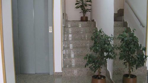 Albergue Hostal Caminito