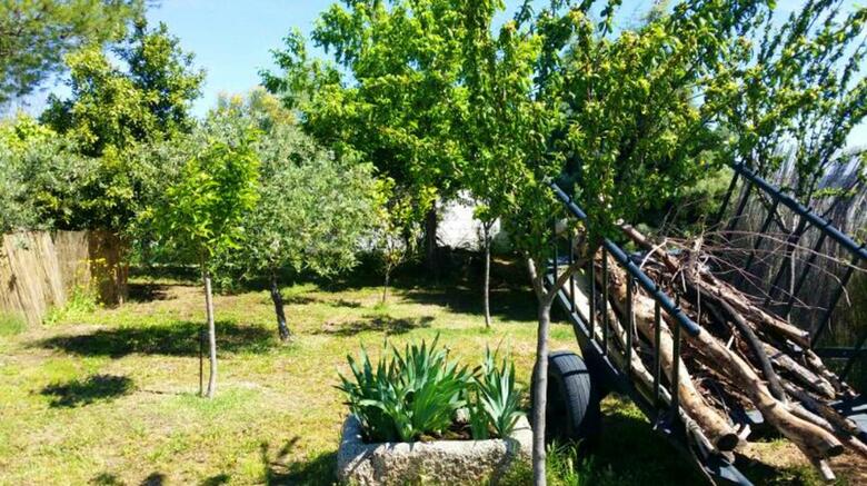 Villa Los Olivos
