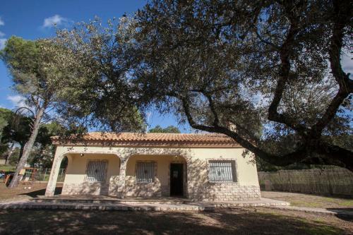 Agroturismo Casa Rural El Pinar