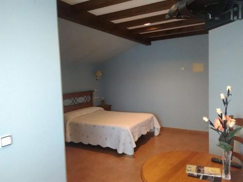Hotel Rural Cebollera Hr***