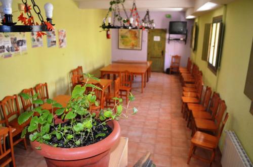 Albergue De San Blas