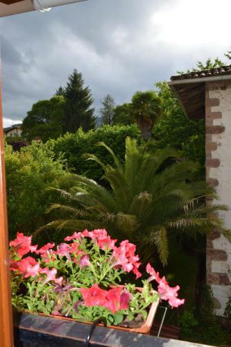 Apartamentos Rurales Batxillerenea