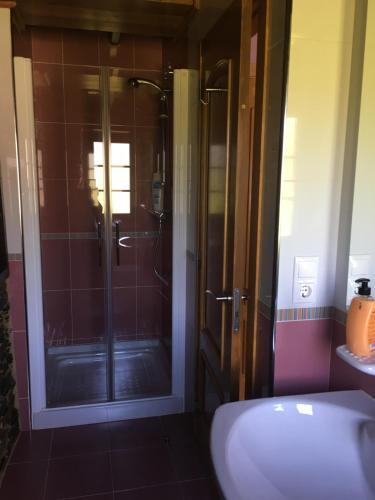 Apartamentos Carola