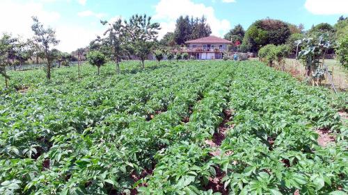 Agroturismo Torre Vilarino