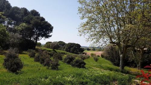 Hostal Ch�teau Saint Martin De Graves