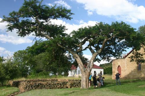 Hostal Chez Nous Bed And Breakfast & Self Catering