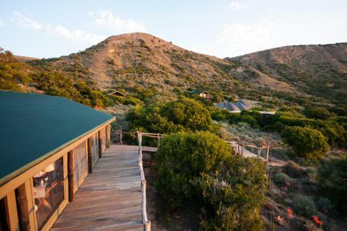 Lodge Hillsnek Safari Camp ? Amakhala Game Reserve