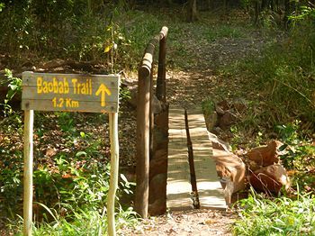 Mashovhela Bush Lodge