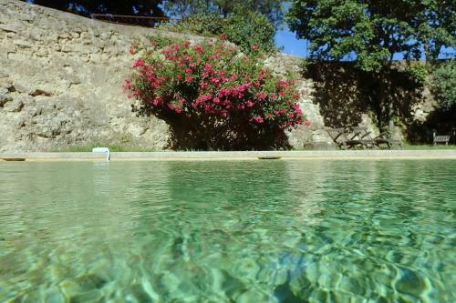 Hostal La Tuili�re En Luberon
