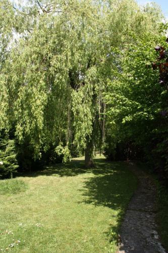 B&B Le Cottage Paris Saclay