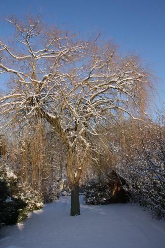 B&B Le Cottage Paris Saclay