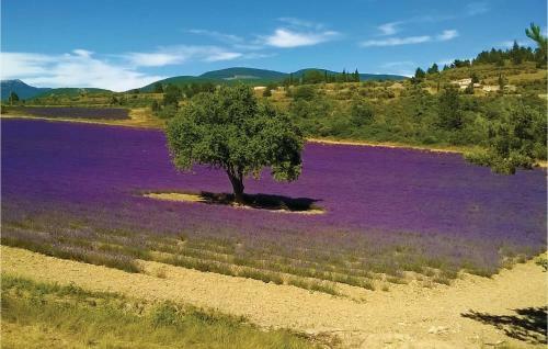 Three-bedroom Holiday Home In Carpentras