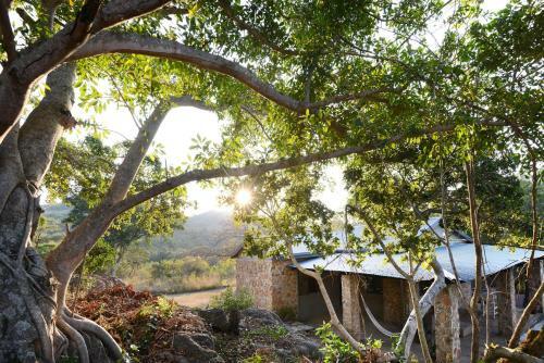 Tomjachu Bush Lodge