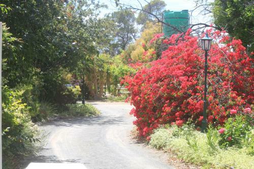 Bed & Breakfast Karoo Lodge