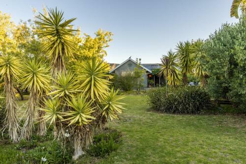 Bed & Breakfast Karoo Lodge
