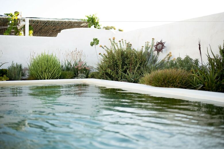 Hostal Prince Albert Country Stay